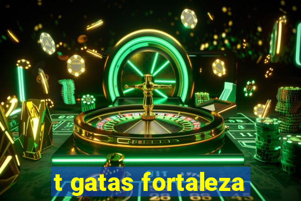 t gatas fortaleza